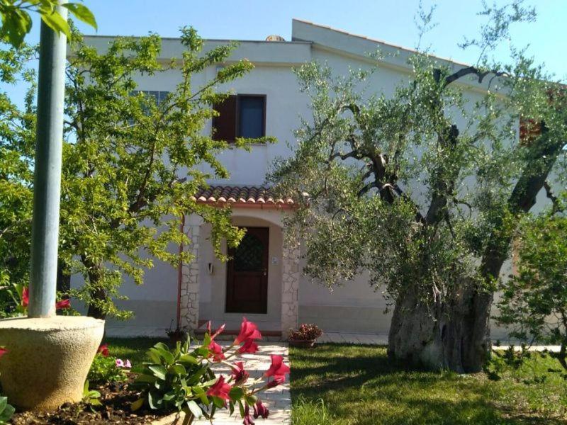 Borgo Cerasa Bed and Breakfast Vieste Eksteriør billede